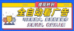 全自动看广告项目,可无限放大,可矩阵批量操作-宝藏屋创业网