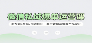 微信私域爆单运营课:朋友圈/社群/引流技巧,客户管理与爆款产品设计-宝藏屋创业网