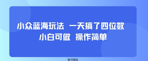 小众蓝海玩法 一天搞了四位数 小白可做 操作简单-宝藏屋创业网