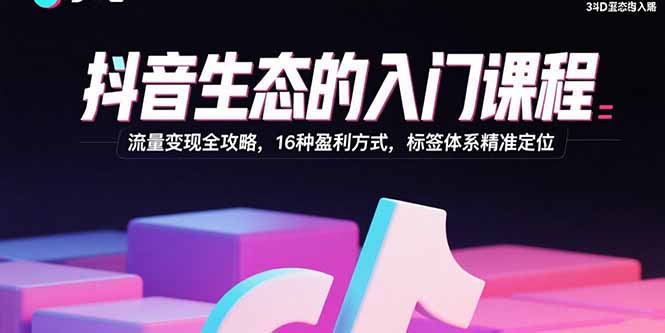 抖音生态的入门课程：流量变现全攻略，16种盈利方式，标签体系精准定位-宝藏屋创业网