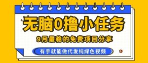0学费0风险,2025风口项目,无脑免费撸,代发纯绿色视频,一部手机人人可做【揭秘】-宝藏屋创业网