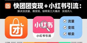 快团团变现+小红书引流:解决没流量、难变现、缺帮卖三大痛点 实现月入3w+-宝藏屋创业网