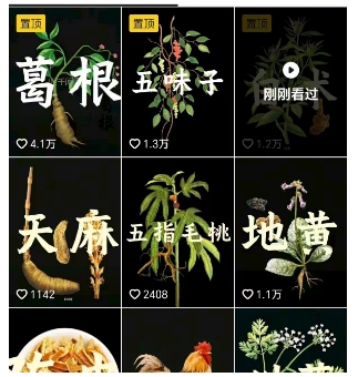 抖音中草药赛道，用AI做中草药故事视频，45条作品涨粉13W，橱窗带货猛猛出单-宝藏屋创业网