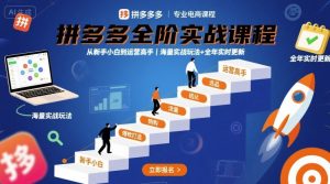 拼多多全阶实战课程,从新手小白到运营高手,海量实战玩法+全年实时更新【2025年9月更新】-宝藏屋创业网