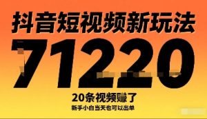 抖音短视频新玩法,20条视频挣了1w+,新手小白当天也可以出单-宝藏屋创业网
