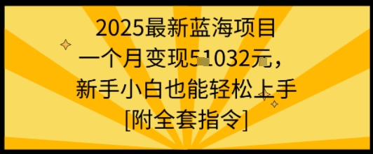 2025最新蓝海项目一个月变现1w+新手小白也能轻松上手【附全套指令】-宝藏屋创业网