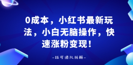 0成本，小红书最新玩法，小白无脑操作，快速涨粉变现-宝藏屋创业网