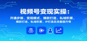 视频号变现实操,含开通步骤、变现模式、爆款打造、私域积累、IP打造及流量提升等-宝藏屋创业网