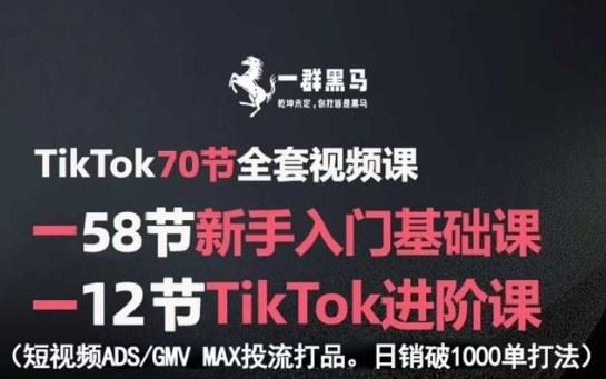 TikTok全套视频课，新手入门+进阶课，短视频ADS-GMV MAX投流打品，日销破1000单打法-宝藏屋创业网