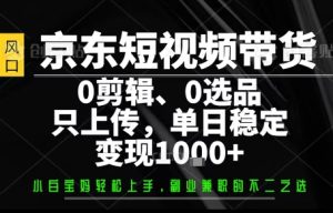 你出账号,我来运营,保底日入1k+,开启躺賺模式【揭秘】-宝藏屋创业网