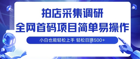 拍店采集调研，全网首码项目，简单易操作， 小白也能轻松上手，多账号操作，轻松日入5张【揭秘】-宝藏屋创业网