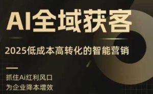 AI全域获客实训营,2025低成本高转化的智能营销,精准找客,高效营销-宝藏屋创业网