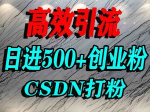 怎么打创业粉?CSDN又一个你不知道的打粉引流神秘平台,单人日引500+精准流量-宝藏屋创业网