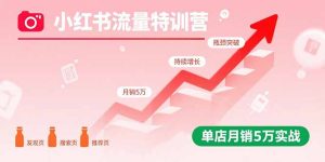 小红书流量特训营:突破流量瓶颈,实现店铺持续增长,单店月销5万实战-宝藏屋创业网
