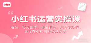小红书运营实操课:选品、笔记创作、流量获取、起号变现等,让你在小红书轻松获收益-宝藏屋创业网