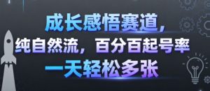 成长感悟赛道,纯自然流,百分百起号率 一天轻松多张-宝藏屋创业网