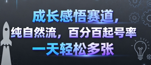 成长感悟赛道，纯自然流，百分百起号率 一天轻松多张-宝藏屋创业网