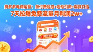 拼多多电商运营:微付费起店+活动引流+爆款打造 7天拉爆免费流量月利润2w+-宝藏屋创业网