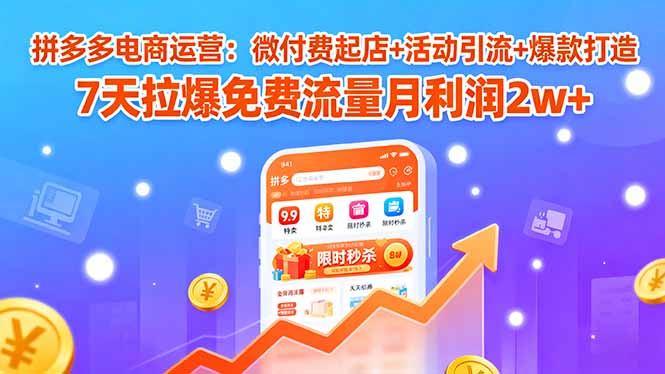 拼多多电商运营：微付费起店+活动引流+爆款打造 7天拉爆免费流量月利润2w+-宝藏屋创业网