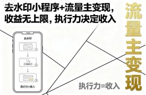 去水印小程序+流量主变现,收益无上限,执行力决定收入-宝藏屋创业网