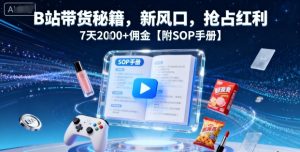 B站带货秘籍,新风口,抢占红利,7天2k+佣金【附SOP手册】-宝藏屋创业网