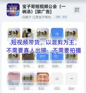 宝子哥头部团队短视频带货,以混剪为主,不需要真人出镜,不需要拍摄【更新9月】-宝藏屋创业网