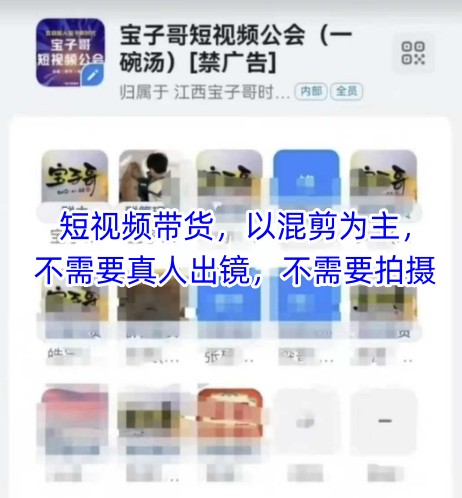 宝子哥头部团队短视频带货，以混剪为主，不需要真人出镜，不需要拍摄【更新9月】-宝藏屋创业网