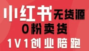 小红书无货源0粉电商课,开店准备、选品策略、笔记撰写、视频剪辑、数据分析、账号打造、资料文档-宝藏屋创业网