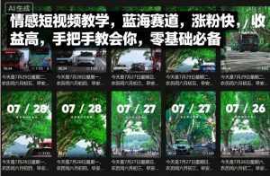 情感短视频教学,蓝海赛道,涨粉快,收益高,手把手教会你,零基础必备-宝藏屋创业网