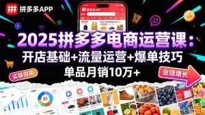 2025拼多多电商运营课:开店基础+流量运营+爆单技巧,单品月销10万+-宝藏屋创业网