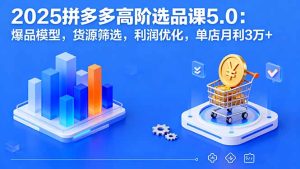 2025拼多多高阶选品课5.0:爆品模型,货源筛选,利润优化,单店月利3万+-宝藏屋创业网