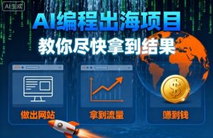 AI编程出海项目,教你尽快拿到结果-做出网站、拿到流量、賺到钱-宝藏屋创业网