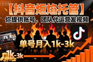 【抖音炬焰托管】你提供账号,团队代运营发视频,单号月入1k+【揭秘】-宝藏屋创业网