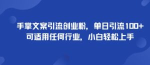 手掌文案引流创业粉,单日引流100+,可适用任何行业,小白轻松上手-宝藏屋创业网