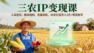 三农IP变现课,人设定位、脚本结构、流量获取,30天打造月入5万+带货账号-宝藏屋创业网