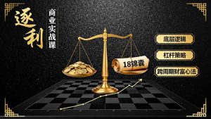 《逐 利》商业实战课,底层逻辑、杠杆策略、18锦囊,跨周期财富心法-宝藏屋创业网