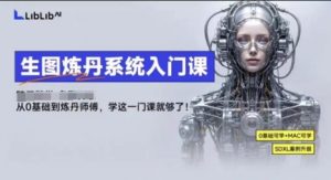LibLibAI哩布哩布生图炼丹系统入门课,从生图到炼丹,只学这一门就够了-宝藏屋创业网