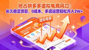 抢占拼多多虚拟电商风口:长久稳定项目,0成本,多店运营轻松月入3W+-宝藏屋创业网