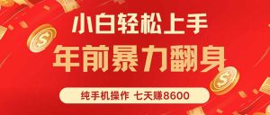 七天狂赚8600,小白纯手机操作,日入1000+-宝藏屋创业网