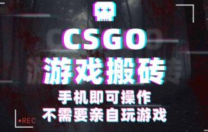 CSGO游戏挂机捡漏,单日扫货500+,年底小高峰上车可吃肉,手机即可操作…-宝藏屋创业网