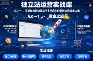 独立站运营实战课,从0到1,零基础也能快速上手,开启你的品牌出海掘金之旅-宝藏屋创业网