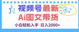 视频号最新AI图文带货,每天几分钟,小白轻松入手,日入2000+-宝藏屋创业网