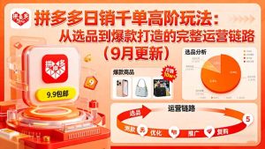 拼多多日销千单高阶玩法:从选品到爆款打造的完整运营链路(9月更新-宝藏屋创业网