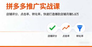 拼多多推广实战课,店铺评分、点击率、转化率,快速打造爆款店铺月赚5.8万-宝藏屋创业网