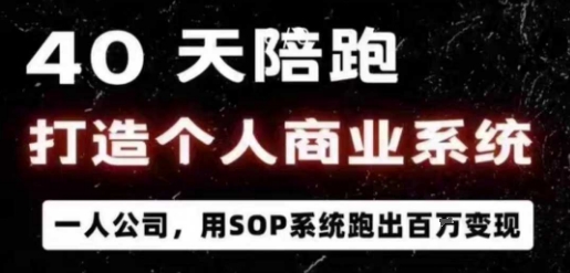 https://wc.yk520.top/wp-content/uploads/2025/09/20250927124030-68d7db3e446c5.jpeg 40天陪跑打造个人商业系统,一人公司,用SOP系统跑出百W变现