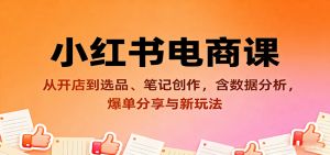 小红书电商课:从开店到选品、笔记创作,含数据分析,爆单分享与新玩法-宝藏屋创业网