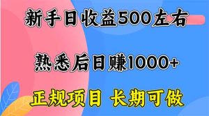 新手日收益500+ 正规项目 长期可做-宝藏屋创业网