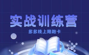 多多实战训练营,从0到1打造一个真正賺钱的店铺-宝藏屋创业网