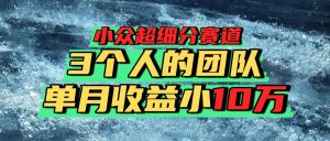 小众超细分赛道,一年百万利润的盘子!-宝藏屋创业网