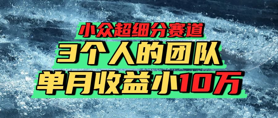 小众超细分赛道,一年百万利润的盘子!